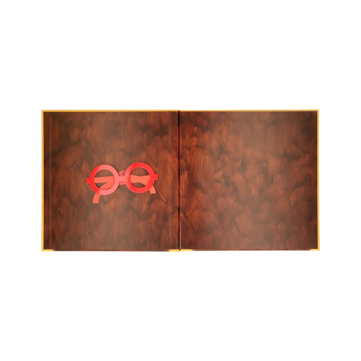 De bril van beer, Leo Timmers