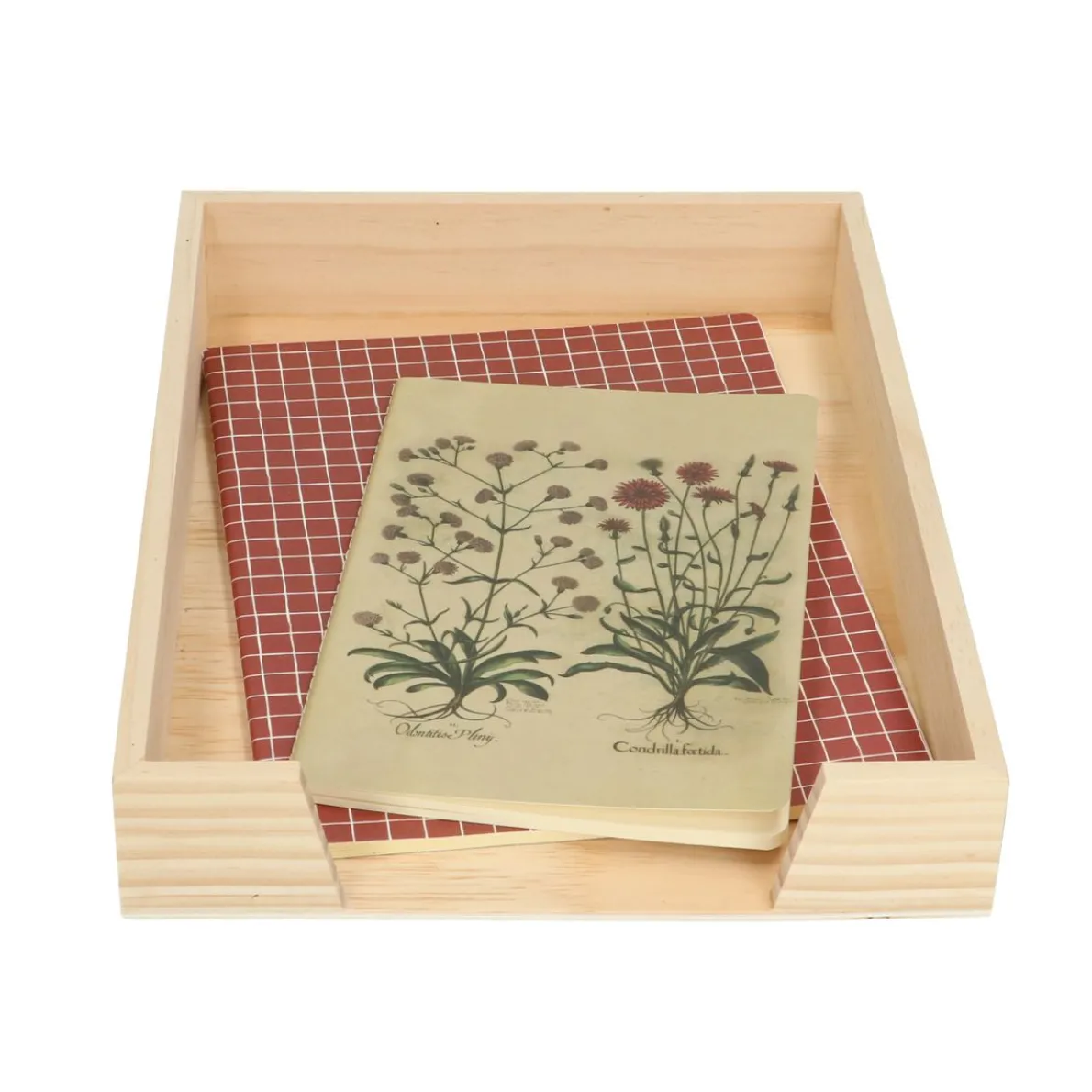 Documentenbak, grenen