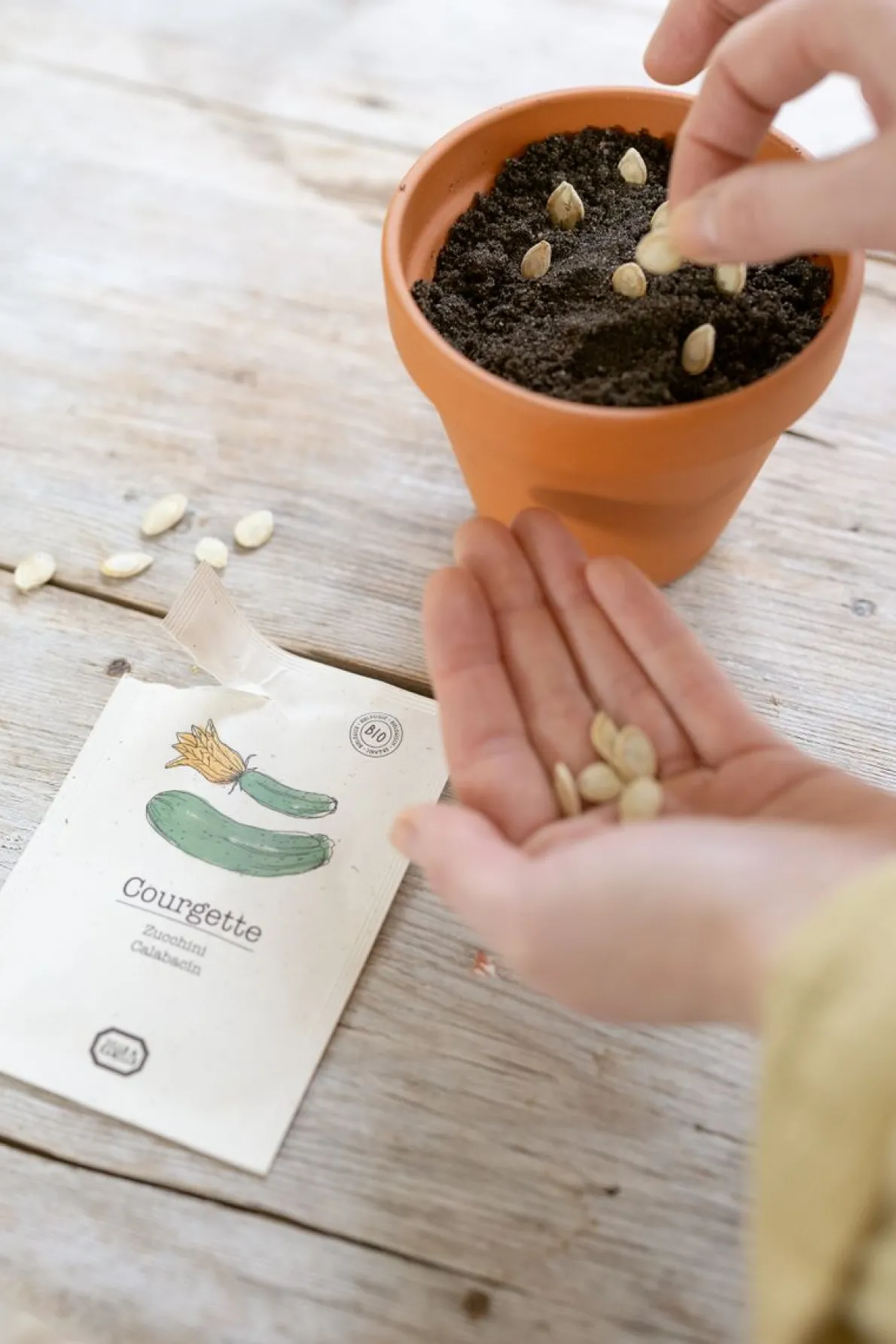 Groentezaden, biologisch, courgette, 2.5 g