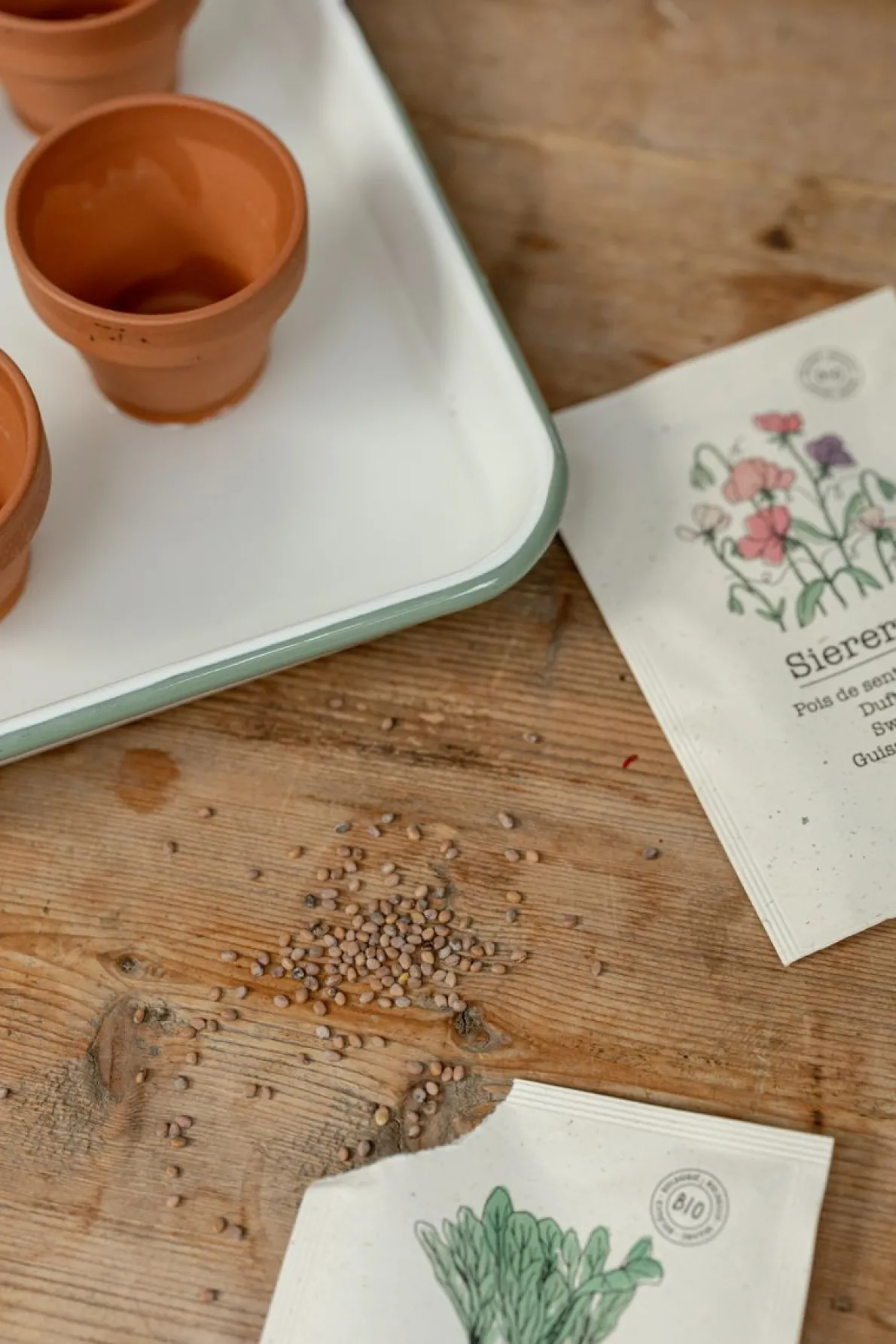 Groentezaden, biologisch, radijs, 3 g