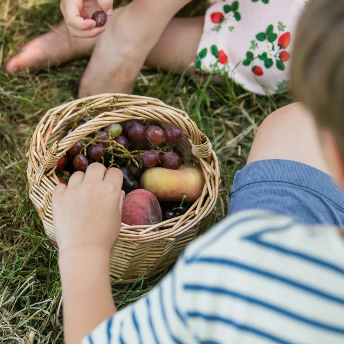 Hengselmandje, wilgenteen