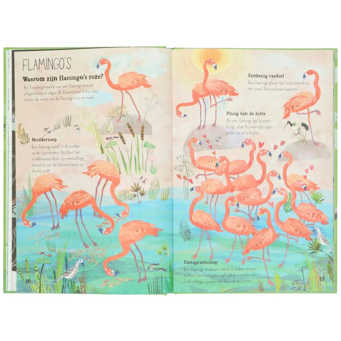 Het Vrolijke Vogel Boek, Yuval Zommer