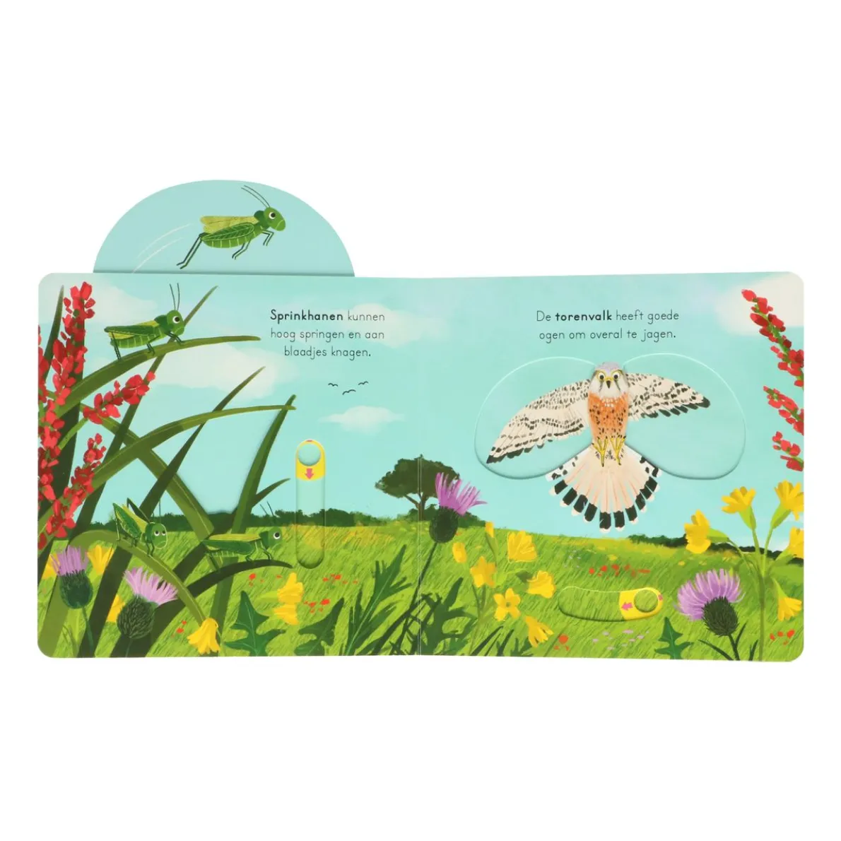 In de natuur,  Anne-Katherin Behl