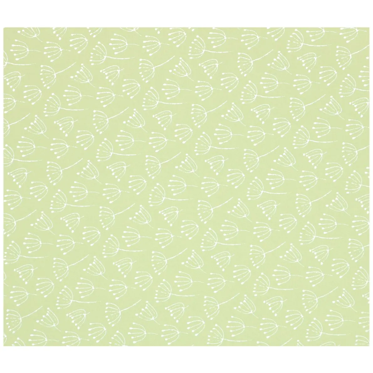 Inpakpapier, groen, schermbloem 70 x 250 cm