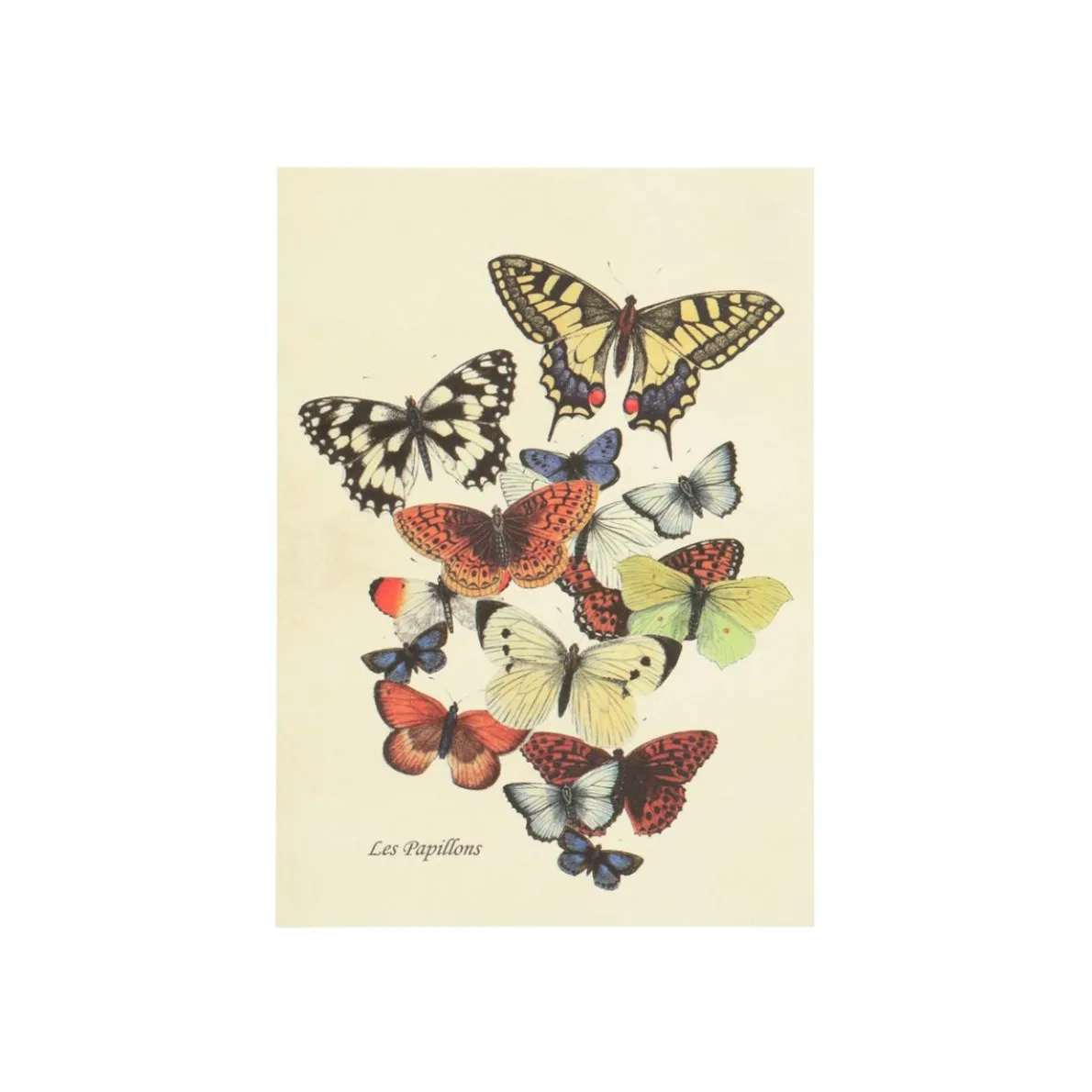 Kaart, vlinders