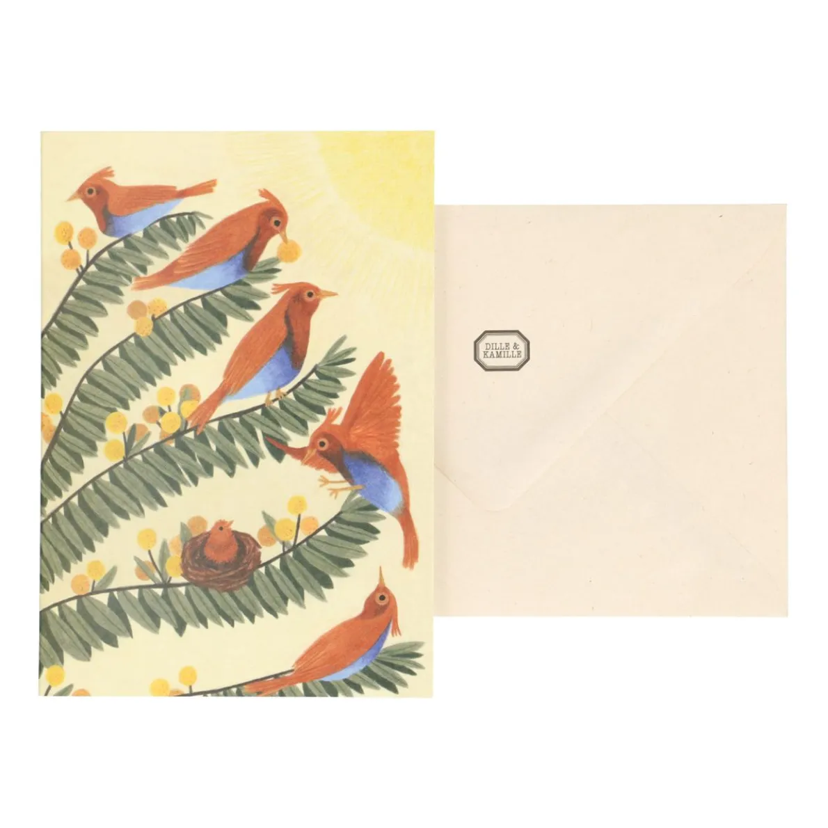 Kaart, World Animal Protection, vogels op rijtje takken