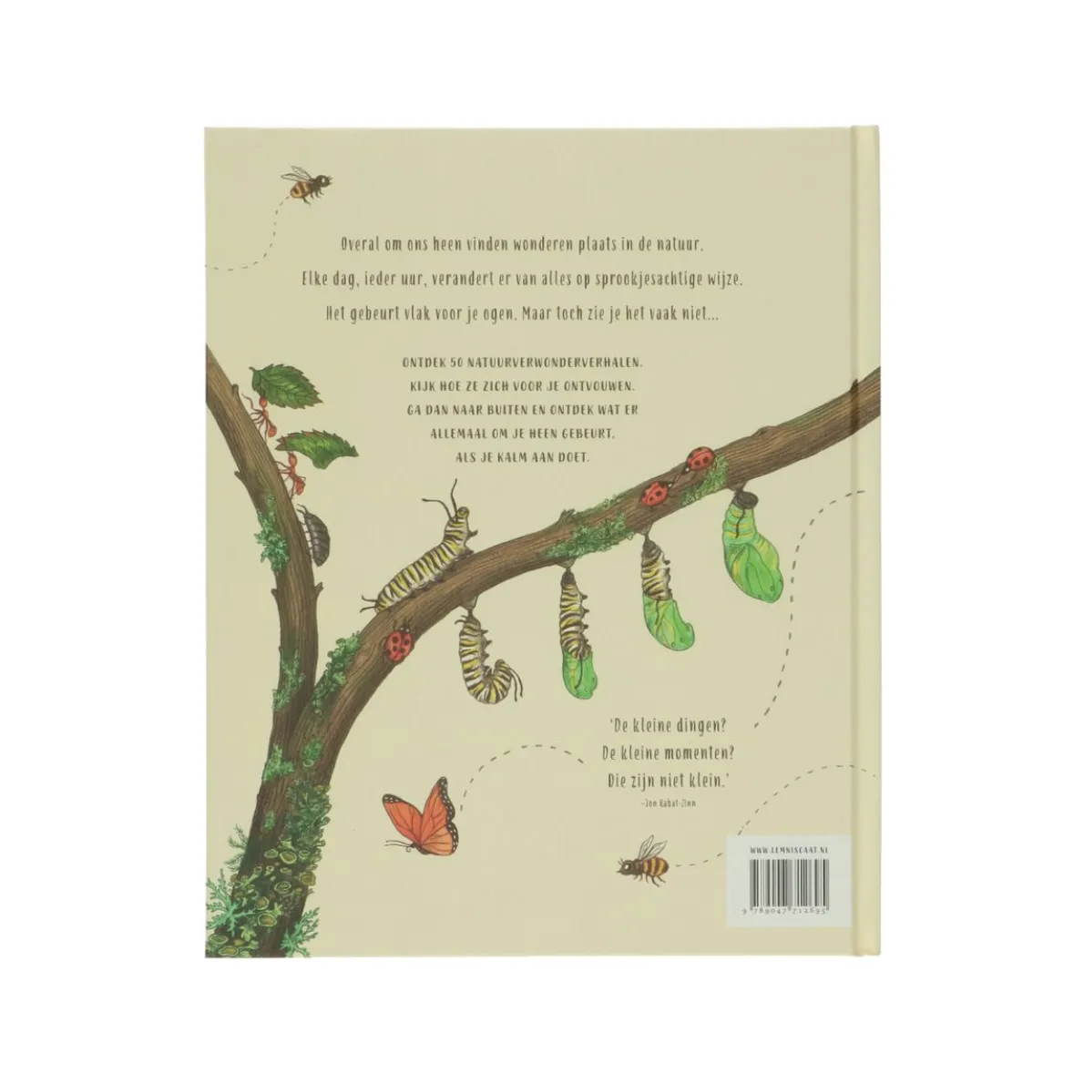 Kalm aan, Rachel Williams