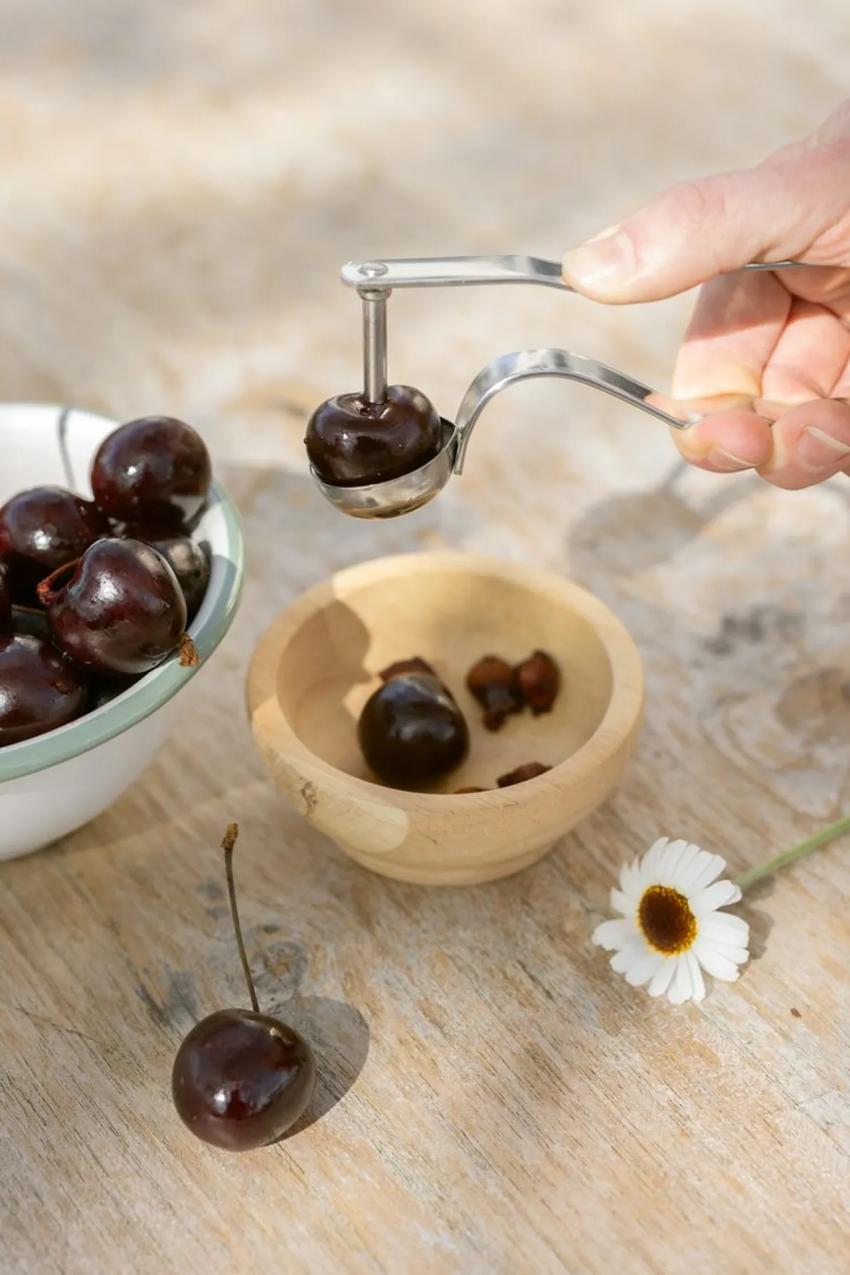 Kersenontpitter, roestvrij staal