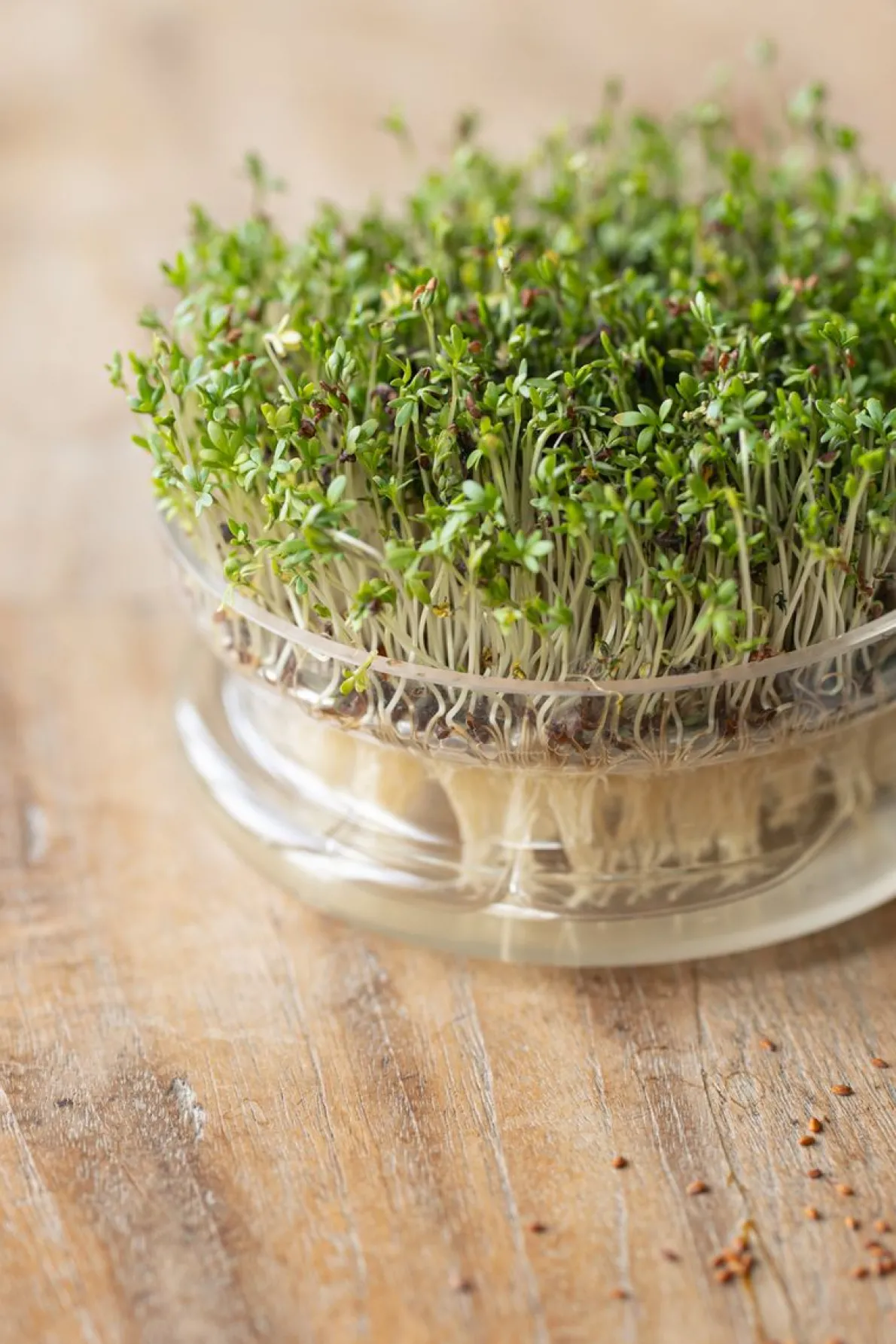 Kiemschaaltje, glas, Ø 13,5 cm