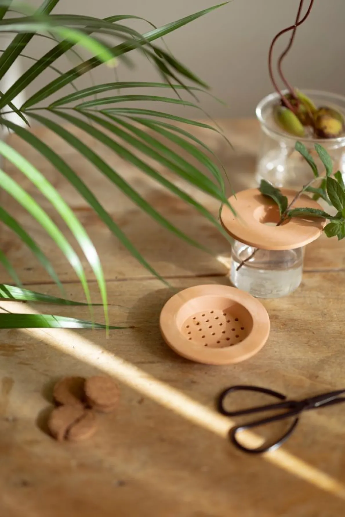 Kiemschotel, Ø 9,5 cm, 3 stuks