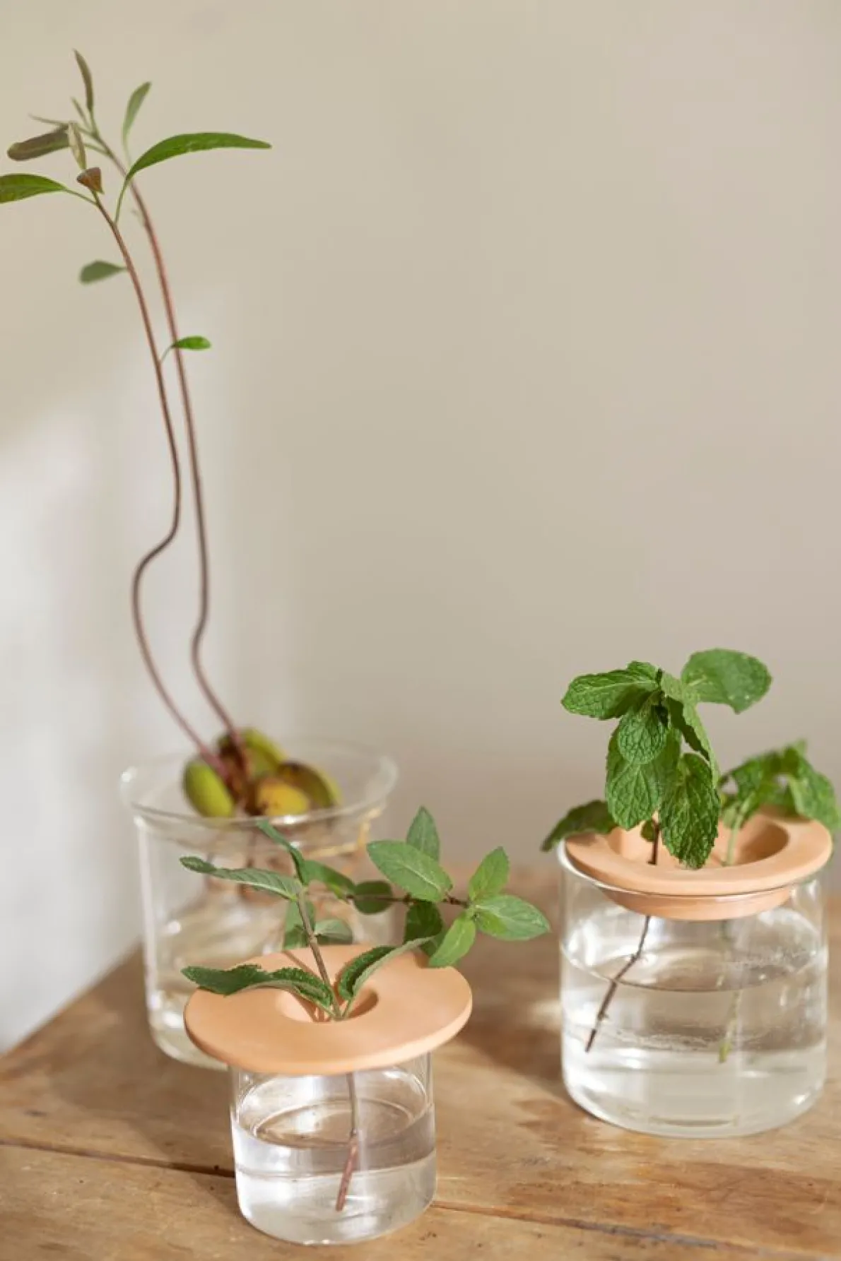 Kiemschotel, Ø 9,5 cm, 3 stuks