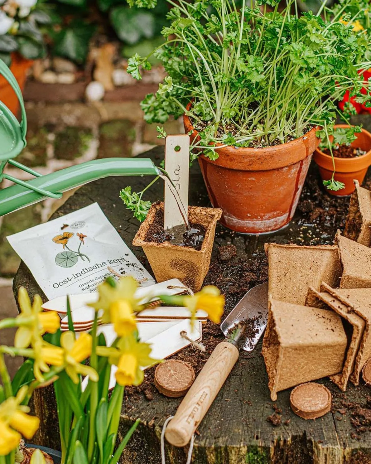 Kokospotgrond, 20 tabletten