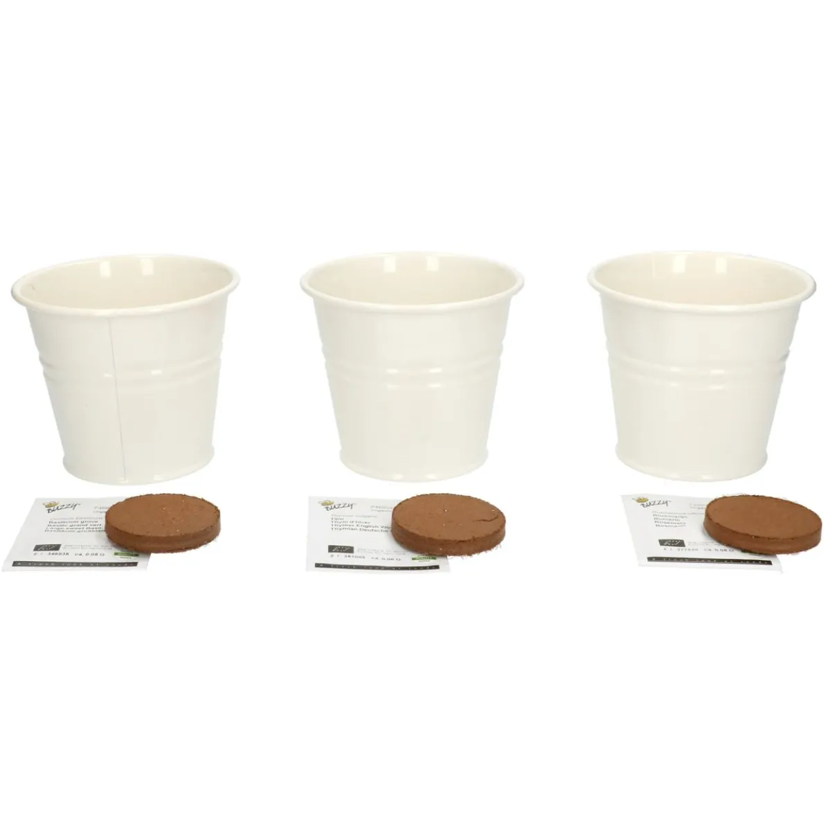 Kweekset theekruiden, biologisch, set van 3 potjes