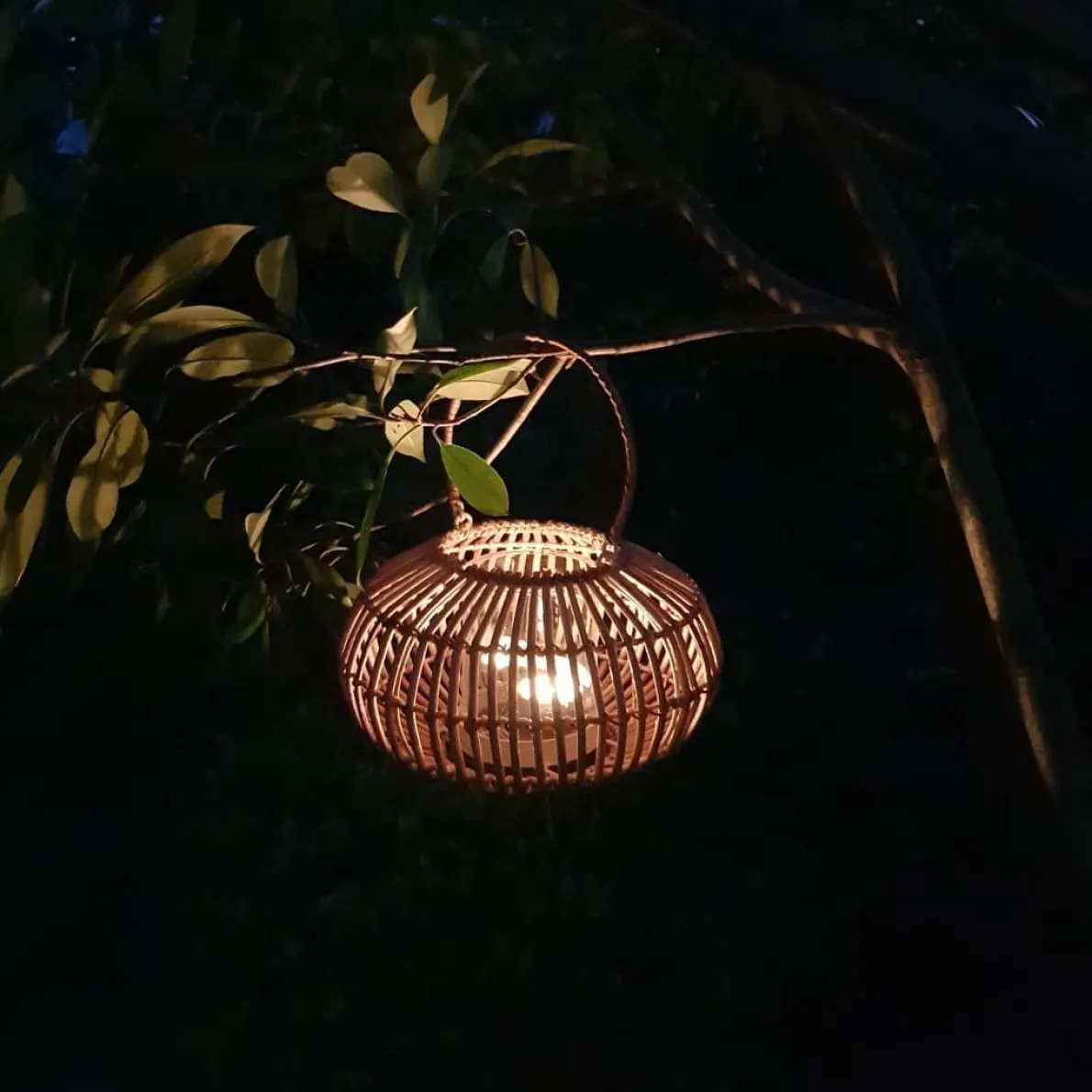 Lantaarn, rotan, naturel, Ø 21 x 12 cm