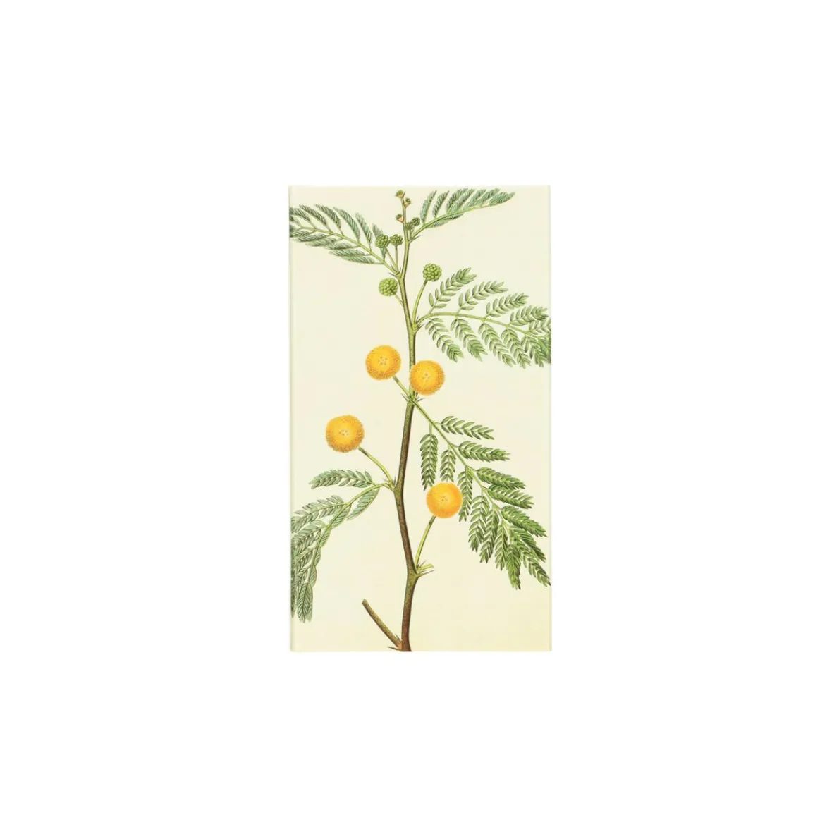 Lucifers, gele bloemen