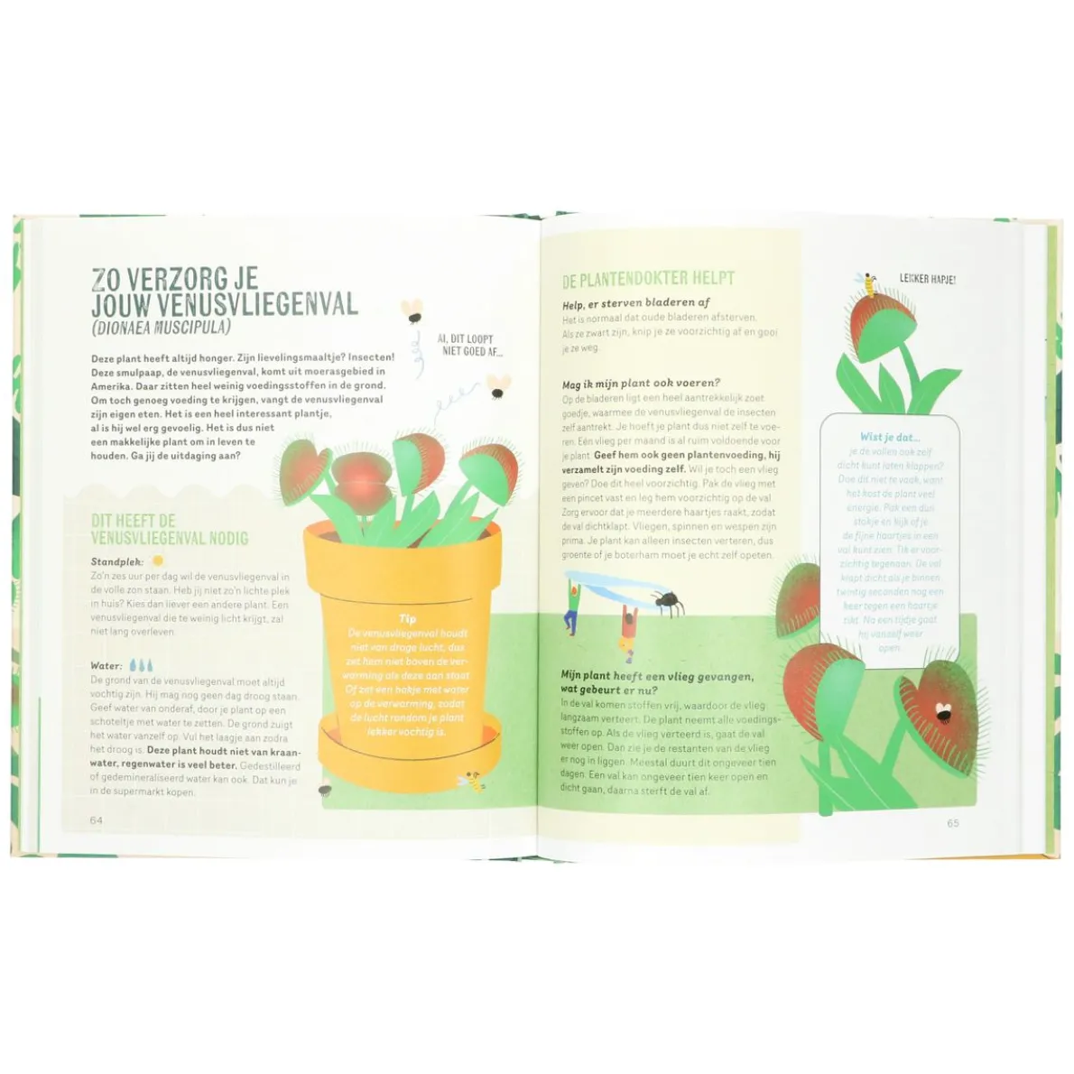 Maak je eigen plantenparadijs, Iris van Vliet