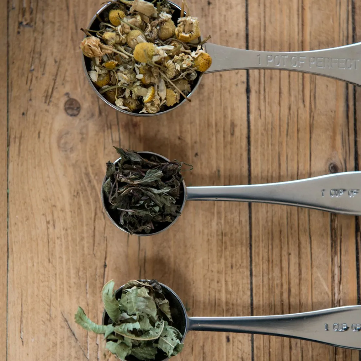 Maatlepel voor één pot thee of 3 tot 4 kopjes, roestvrij staal