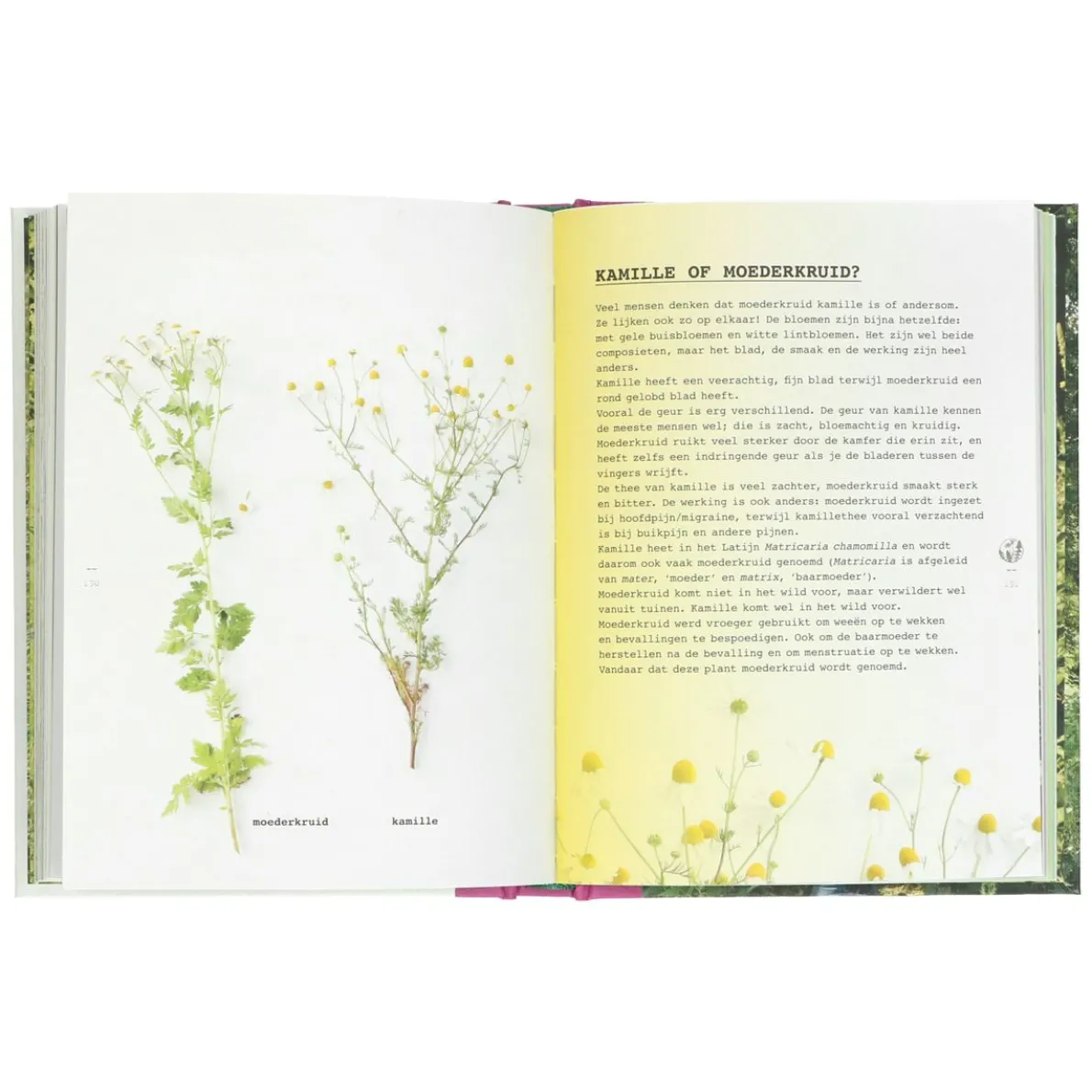 Meer wildplukken, Leoniek Bontje