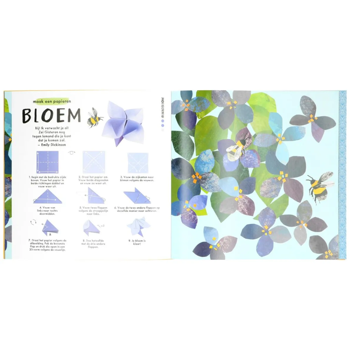 Natuurorigami, Clover Robin