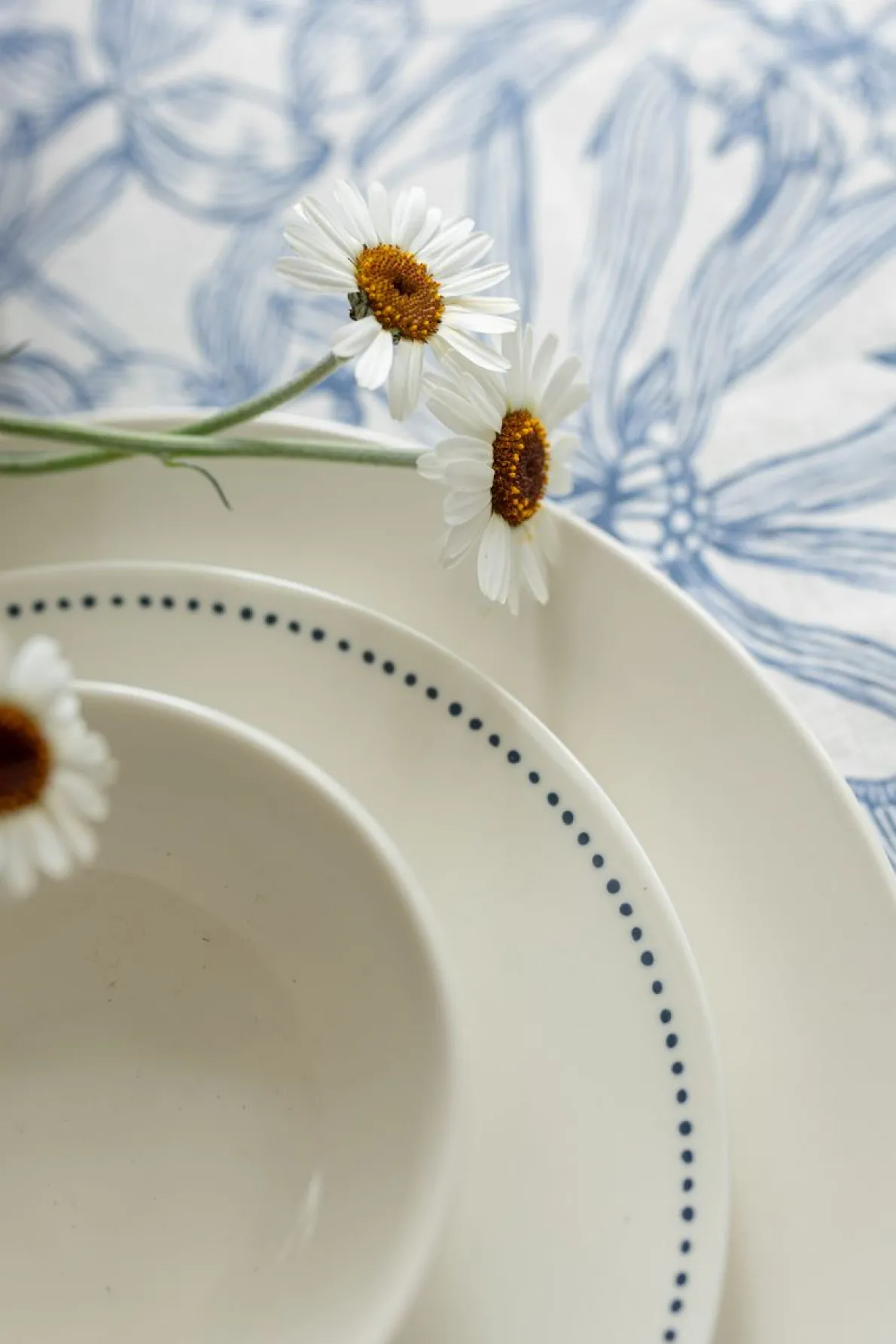 Ontbijtbord met blauwe stip, organisch, porselein, Ø 20 cm