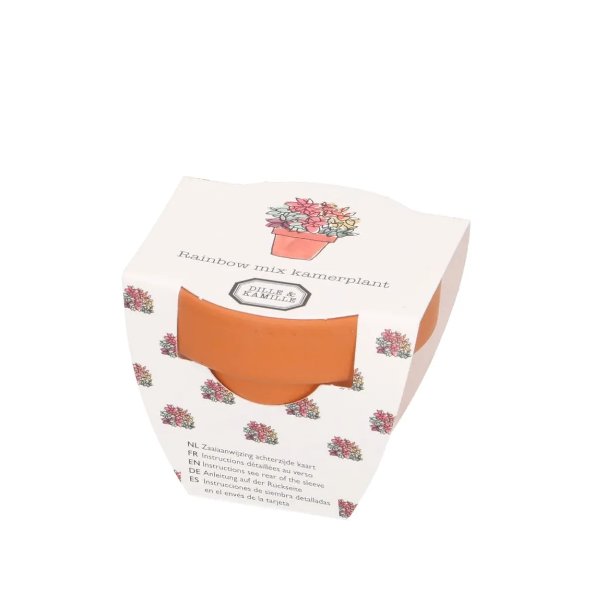 Potje met regenboog siernetel