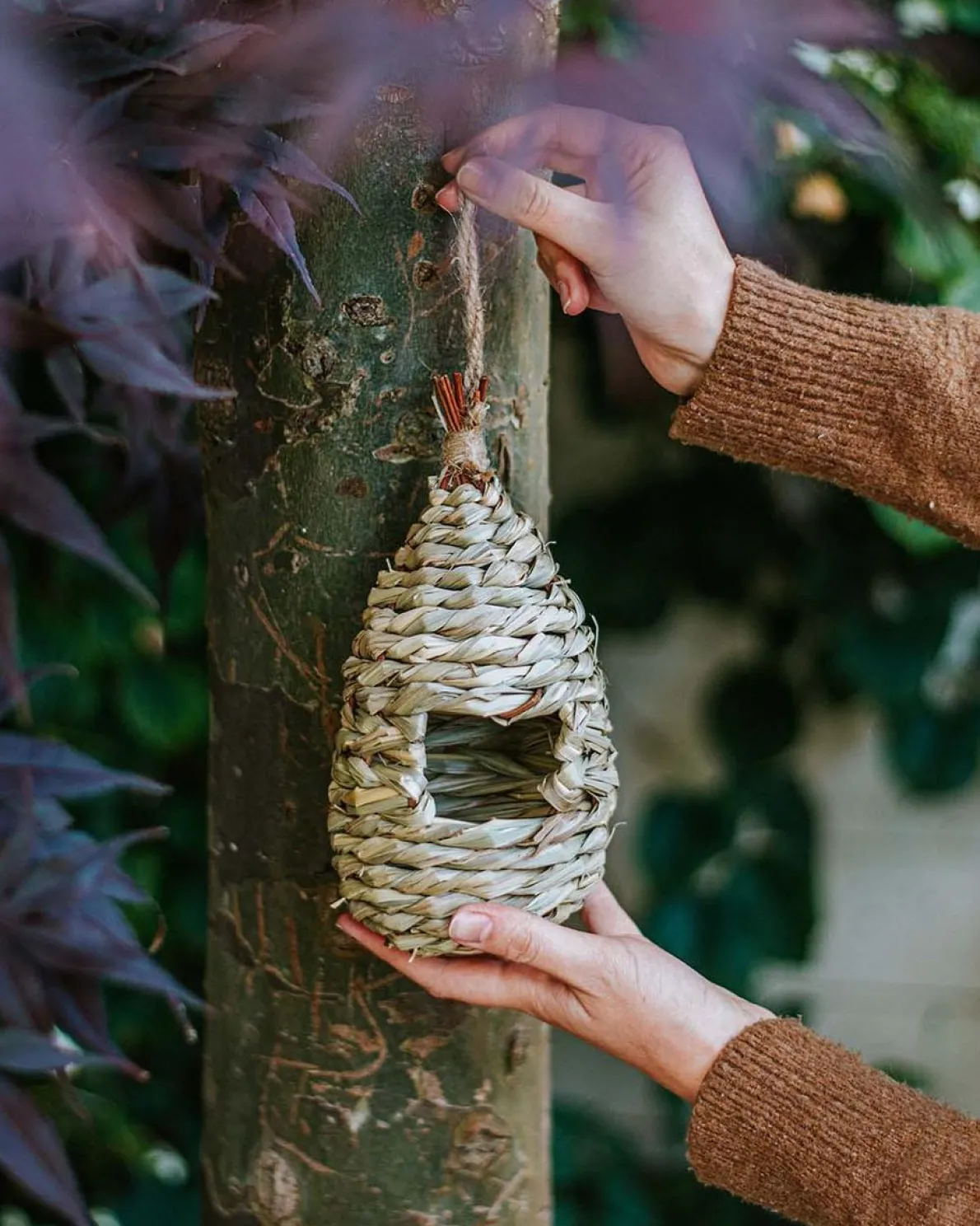 Schuilplaats voor vogels