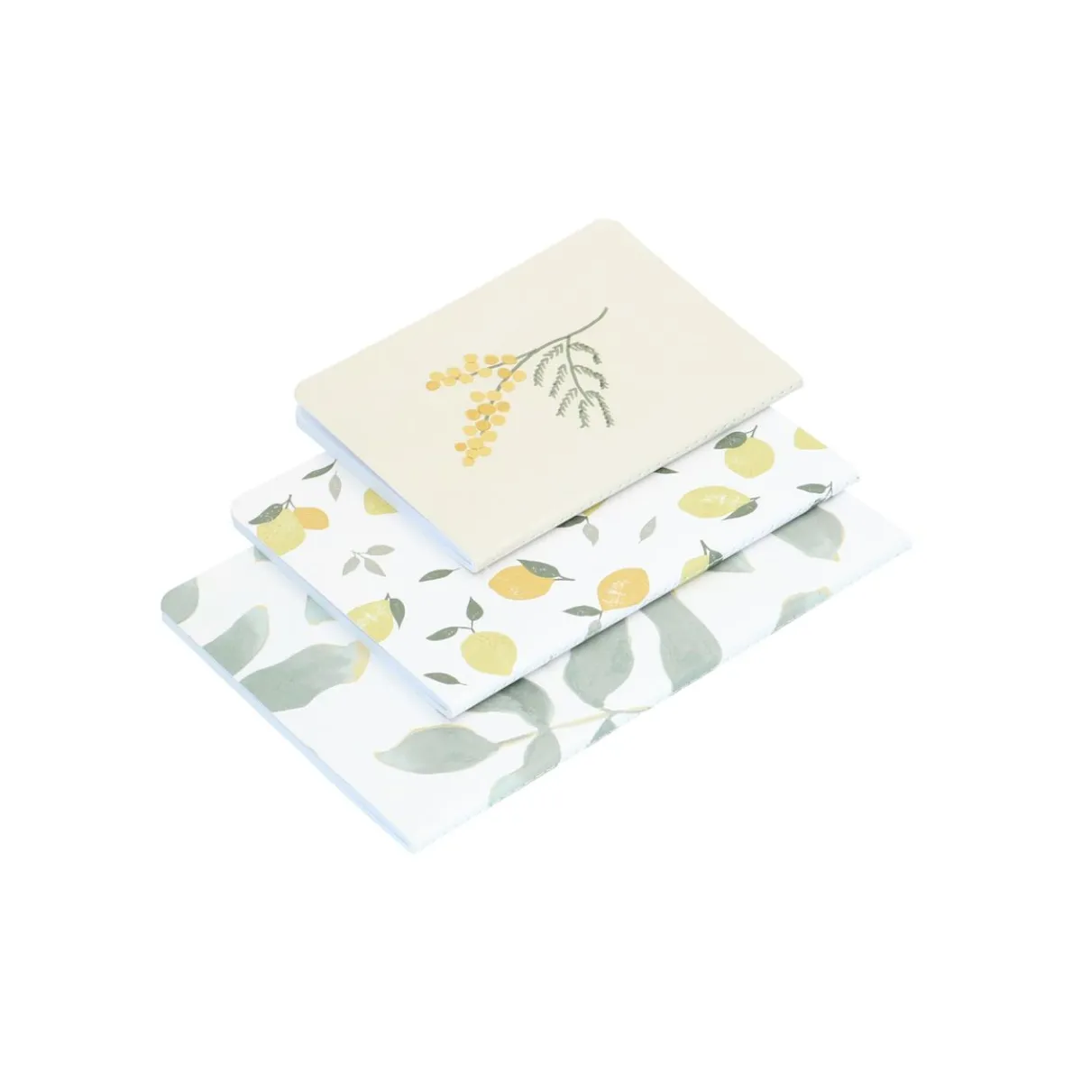 Setje schriften, blad, citroen en mimosa