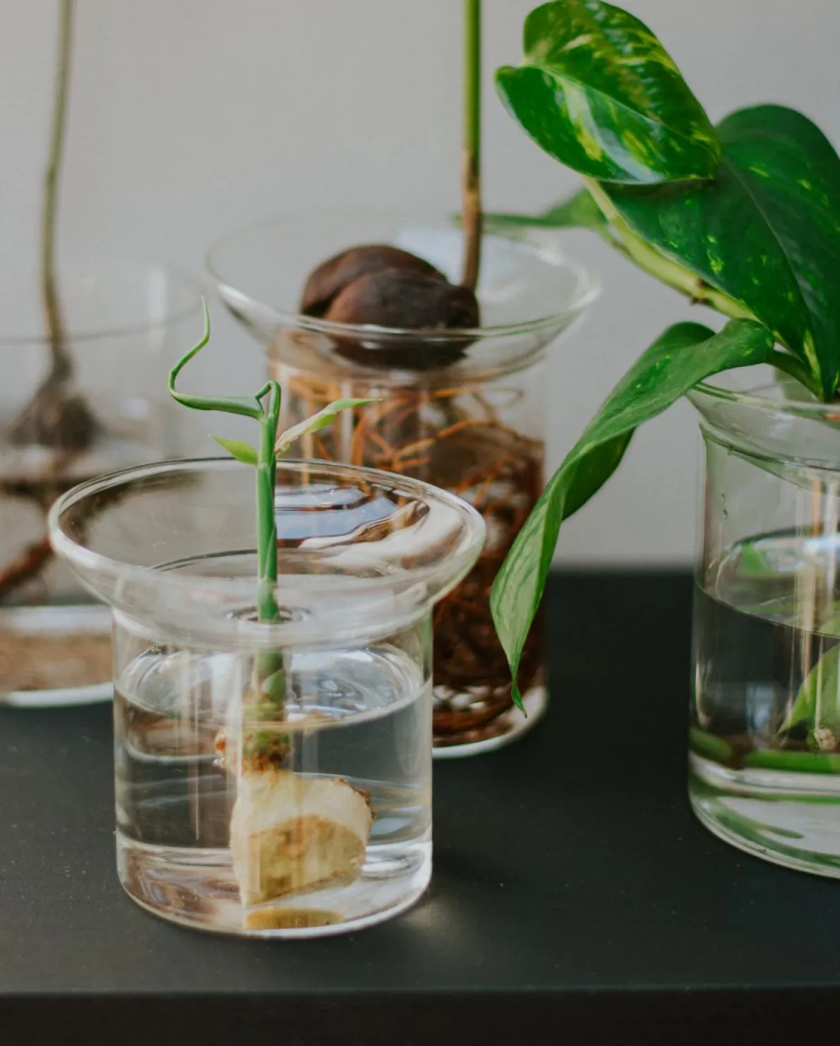 Stek- en kiemvaasje, glas, klein