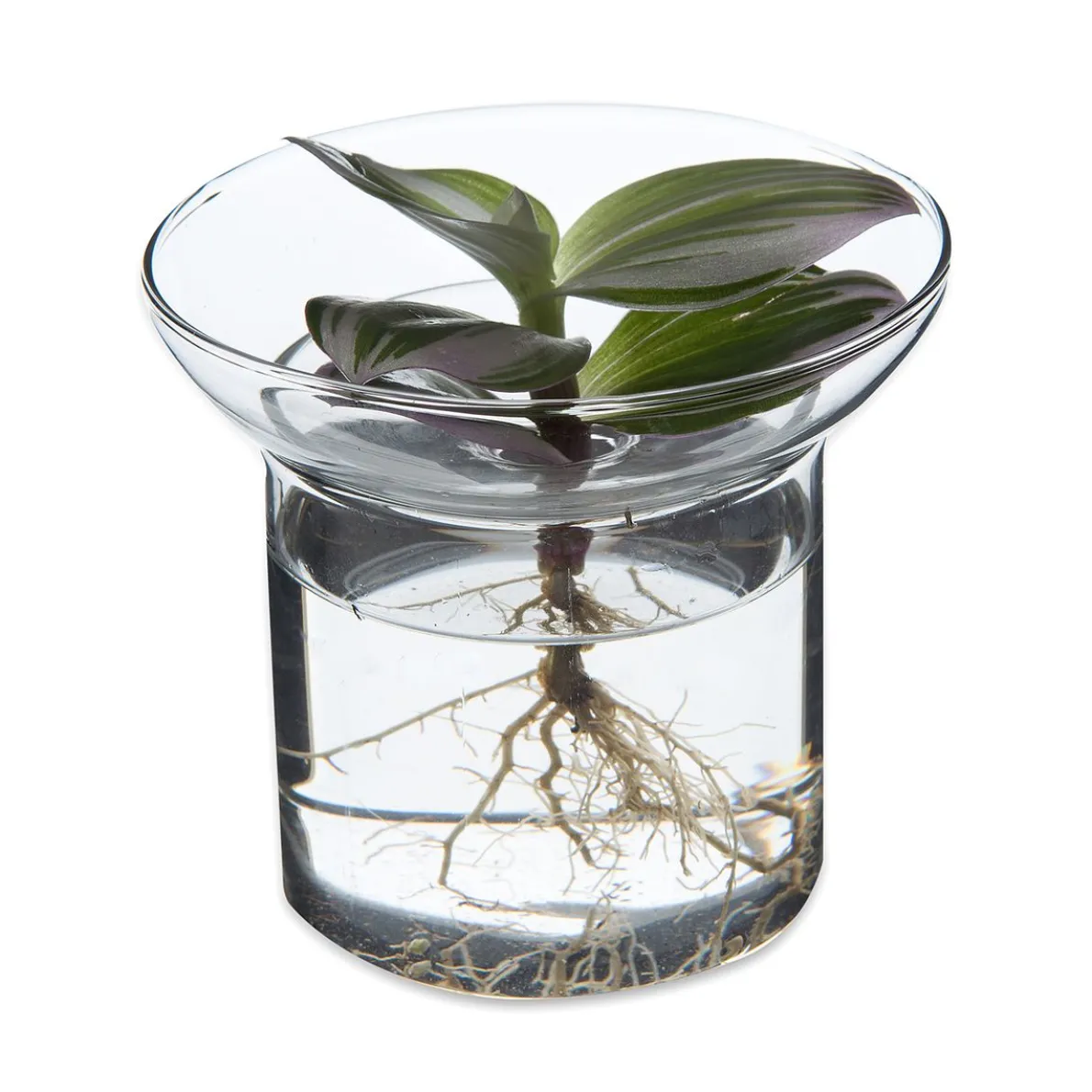 Stek- en kiemvaasje, glas, klein
